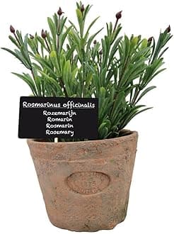 Esschert's Design AH012 Large Artificial Aged Terracotta Pot - Rosemary