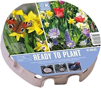 Ready to Plant Bee & Butterfly Friendly 45 Wild Flower Bulbs in Large Round Biodegardable Tray