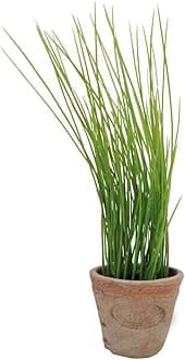Artificial Herb Plant, Chives, Small