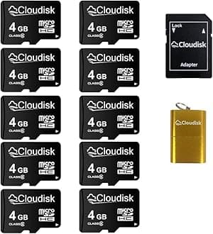 Cloudisk Pack of 10 Micro SD Card 4GB Flash Memory Card C6 Micro SDHC with SD Adapter, Card Reader (4GB)