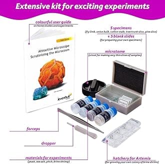 Levenhuk LabZZ M101 Amethyst 640x Portable Educational Kids Microscope Science Kit with LED Light, STEM Toys Accessory Set, Blank & Prepared Sample Slides, Beginner Experiment Guide for Children (ES)