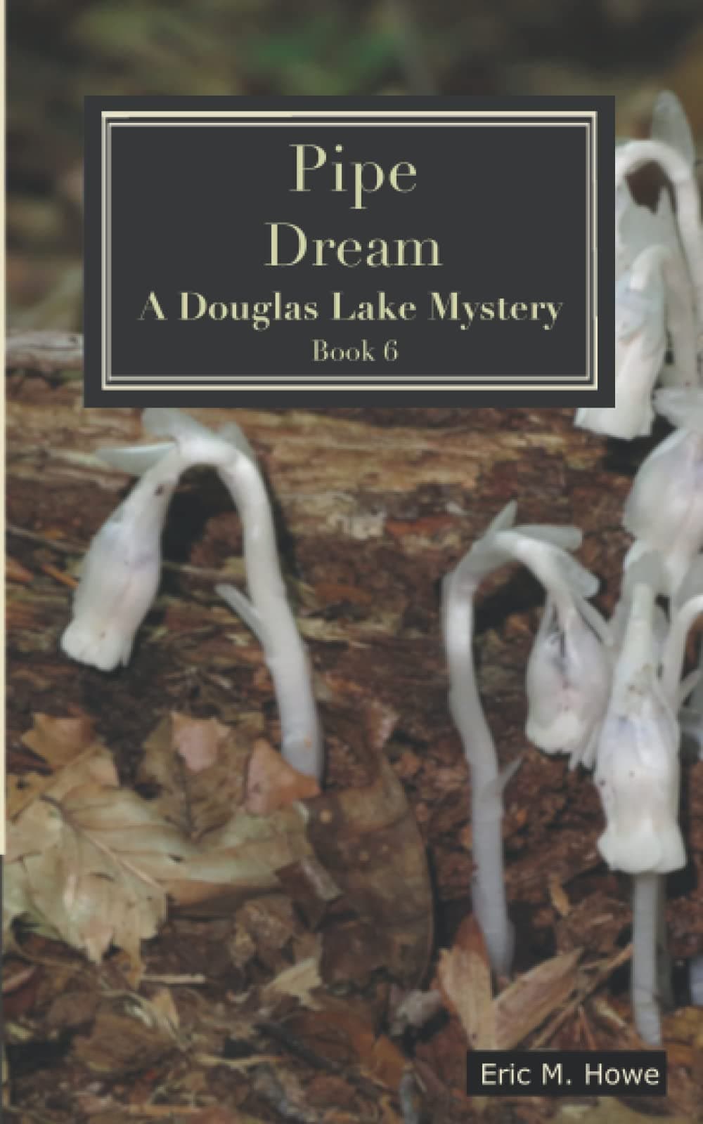 Pipe Dream - A Douglas Lake Mystery