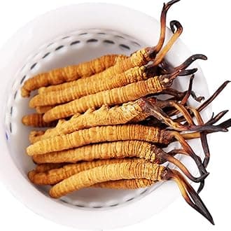 5 Grams 100% Wild Himalayan Cordyceps Sinensis Chinese Caterpillar Fungus Dong Chong Xia Cao Cordyceps Sinensis Wild Cordyceps.