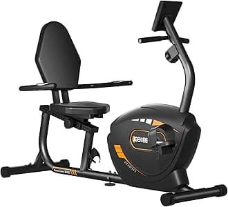 Recumbent Exercise Bike for Seniors,Stationary Bikes for Home, 400LB Capacity & 16 Levels Magnetic Resistance, Heart Rate Handle