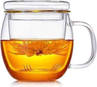 Glass Tea Cup with Infuser and Lid, 17oz/500ml Large Borosilicate Teacup for Loose Leaf Tea, Blooming Tea
