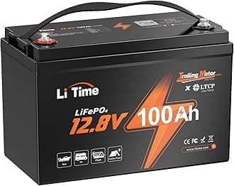 LiTime LiFePO4 12V 100Ah Rechargeable Lithium Battery with BMS Protection and 4000-15000 Cycles (12V100AH TM US)