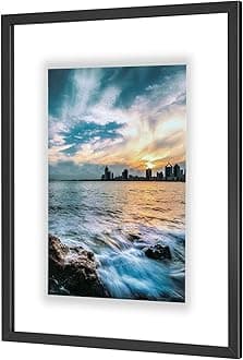 ONE WALL 18x24 Inch Floating Frame, Black Wood Double Glass Float Picture Frame Display 11x14/11x17/12x18/13x19/16x20 Photos Plant or Petal Specimens for Wall Hanging - Mounting Kit Included