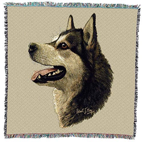 Alaskan Malamute - Robert May - Lap Square Cotton Woven Blanket Throw - Made in The USA (54x54)