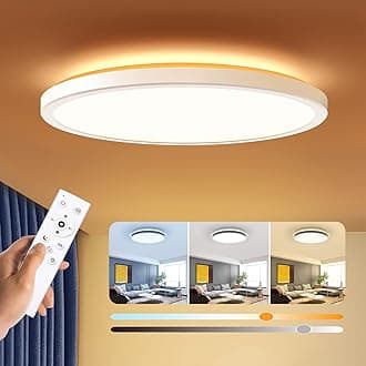 BLNAN 24W Dimmable LED Ceiling Light with Remote Control, Ceiling Light 3000K-6500K Colour, Bedroom, Living Room, Kitchen, Dining Room, Bathroom Industrial Round 30 x 2.5 cm