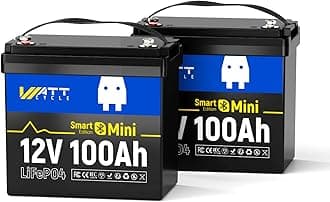 Deep Cycle Battery with Bluetooth, 12 V 100 Ah Mini BT LiFePO4 Battery, Lithium Battery with Bluetooth, Lightweight and Compact, Use of EVE Grade A+ Cells (12V100miniBT-2-Pack)