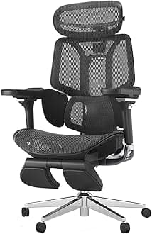 E3 Pro Ergonomic Office Chair with Dynamic Lumbar Support, 4D Adjustable Headrest for Home Office Chair, 6D Adjustable Armrests Desk Chair, Swivel Big and Tall Computer Chair, Black
