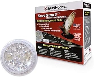 Bird B Gone - SpectrumV Holographic Bird Gel - Bird Repellent Gel - Repels Birds - Protect Edges, Ledges, Rooftops, Etc - UV Protected & Humane - Easy to Install Dishes - 12 Pack