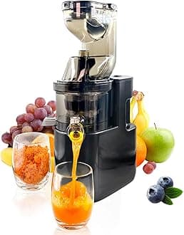 Cold Press Juicer Machines Slow Masticating High Yield Pulp separation Can make fruit ice cream Multi-Functional for Home Commercial Use Wide Feed Chute (Black)