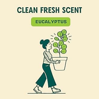 Aunt Fannie's All Purpose Household Cleaner, Multi-surface Spray, Powered by Vinegar for Kitchen, Bath, Windows and Countertops, Eucalyptus Scent (Pack of 6)