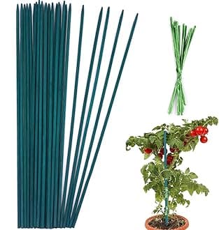 Green Plant Stakes Garden Wood Plant Stakes, Sturdy Wooden Floral Plant Support Stakes, Garden Sticks Sign Posting (15 inches-25 Pack)