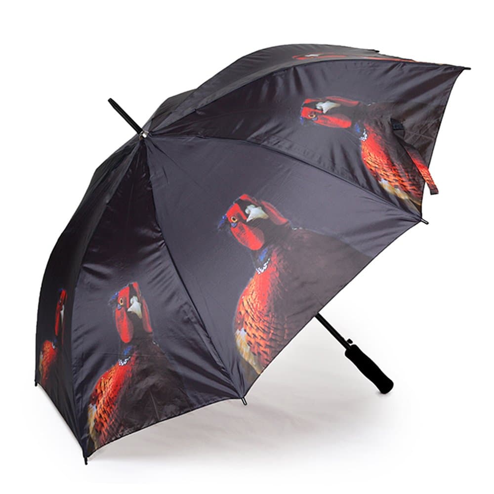 Country Matters CMUMB0117 Pheasant Large Windproof Automatic Golf Umbrella, Multicolour, 5 x 5 x 90 cm