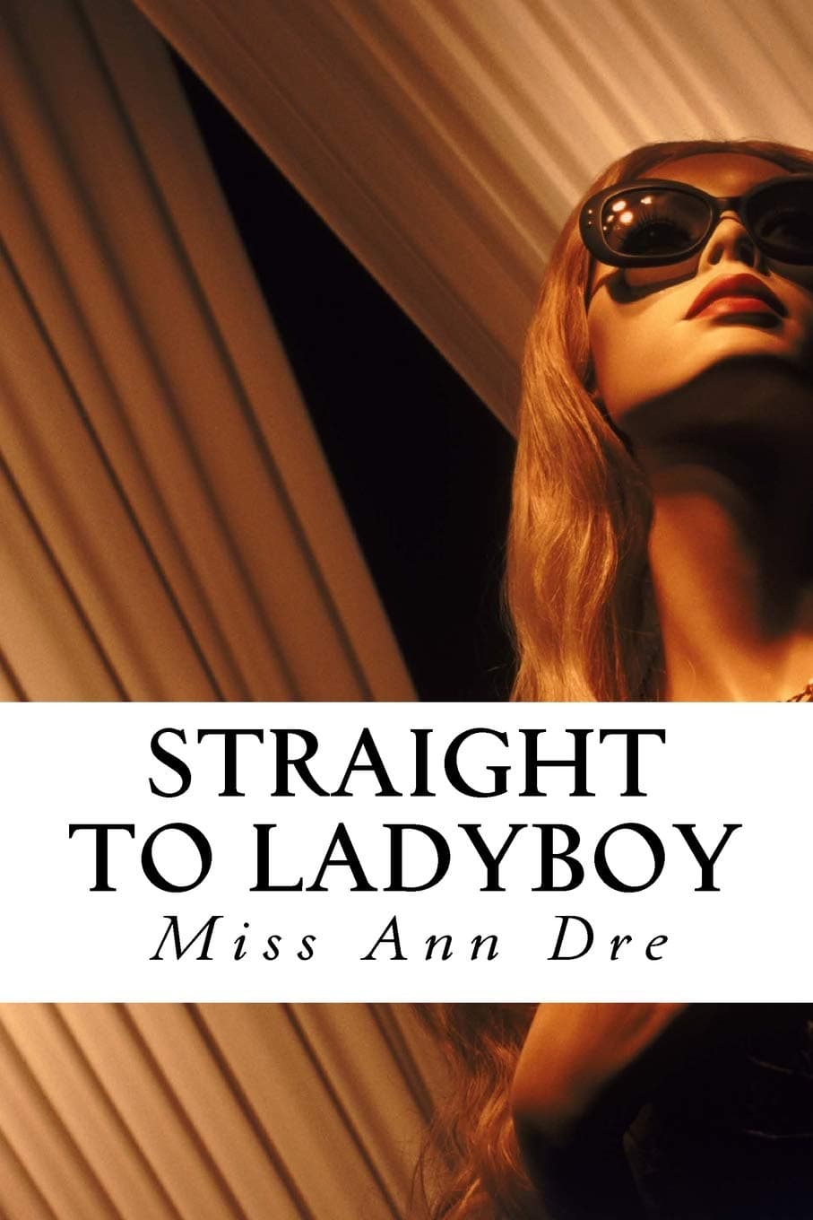 Straight to Ladyboy Paperback – 15 Oct. 2015