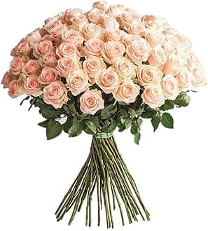 GlobalRose 50 Peach Roses Bouquet - Responsibly Sourced Roses Fresh Flowers - Hand-Picked Flowers Fresh Bouquet for Graduation, Anniversary, Birthday & Special Occasions (2 Bunches of 25 Stems)