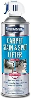 900 Carpet Stain & Spot Lifter - 22 oz. Aerosol Can