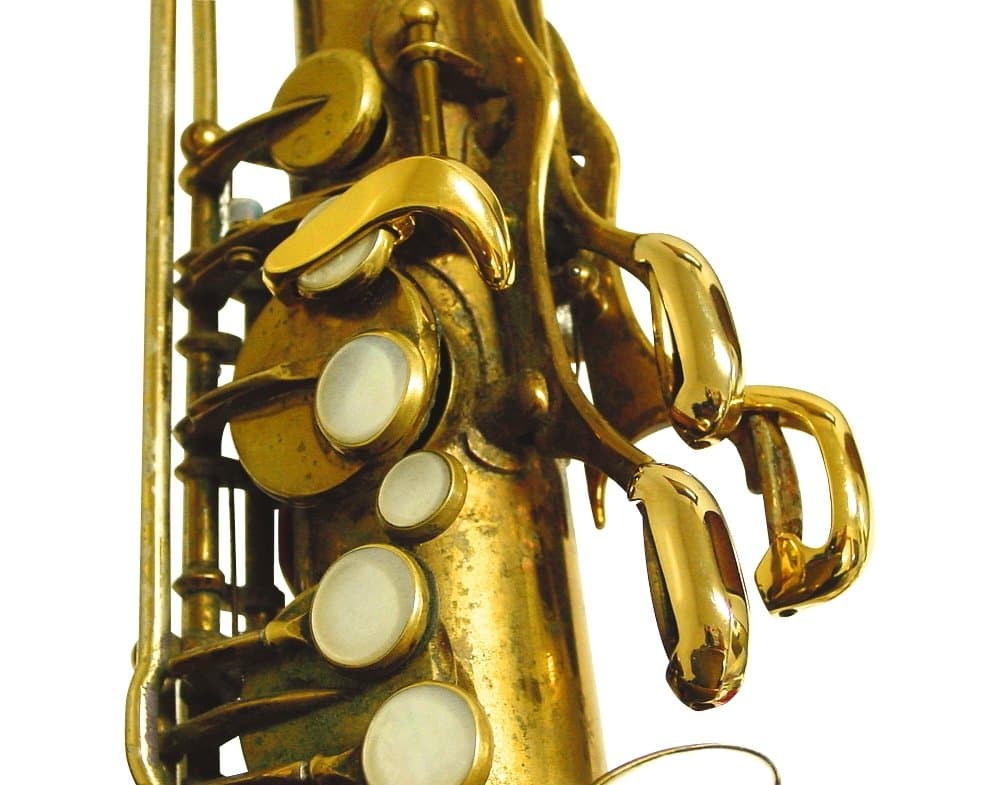 Oleg Pro Saxophone Enhancer: Skyscraper Palm Key Riser: Contemporary