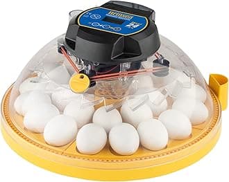 Maxi 24 EX Egg Incubator