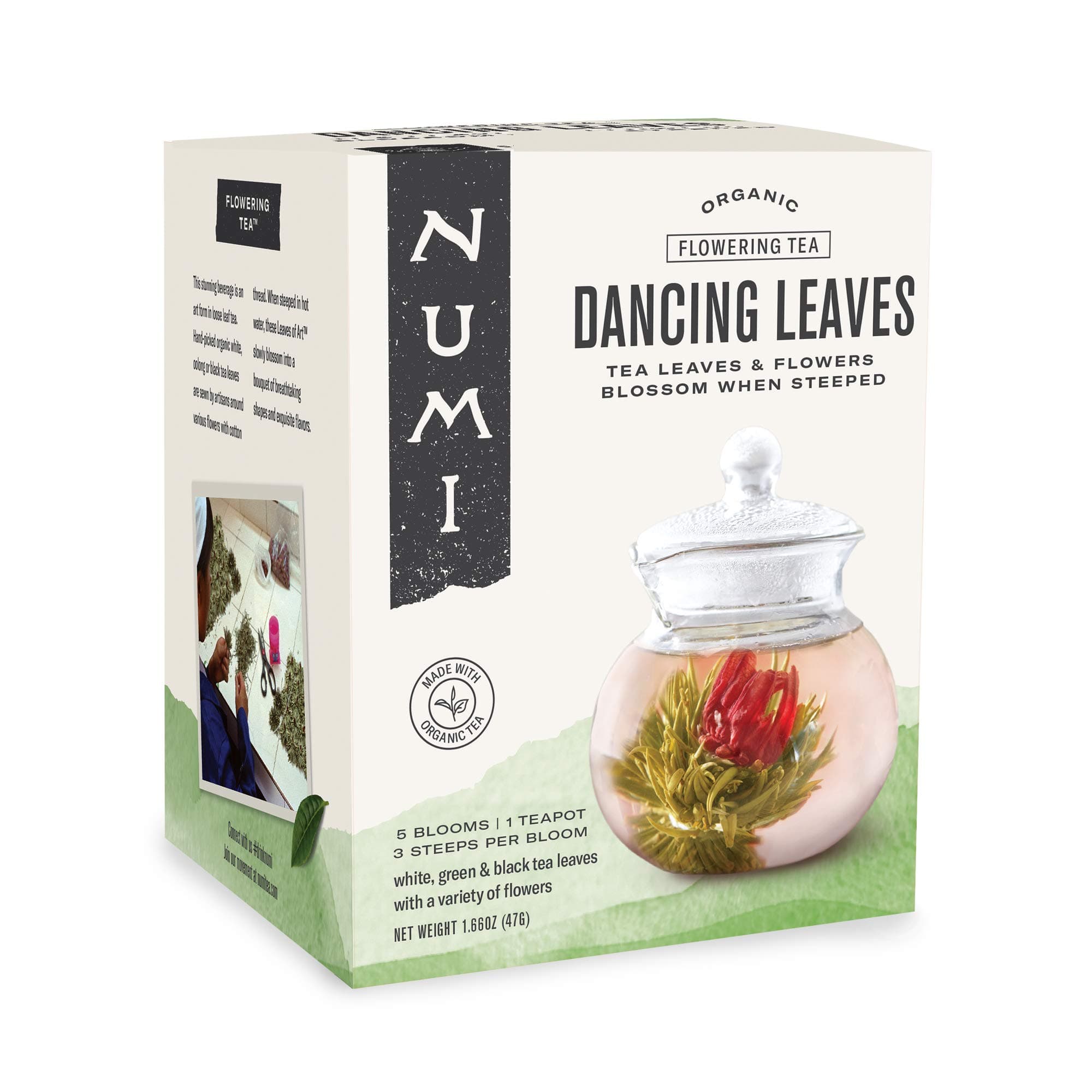Organic Tea Dancing Leaves Flowering Tea Gift Set, 5 Tea Blossoms with 16 Ounce Glass Teapot