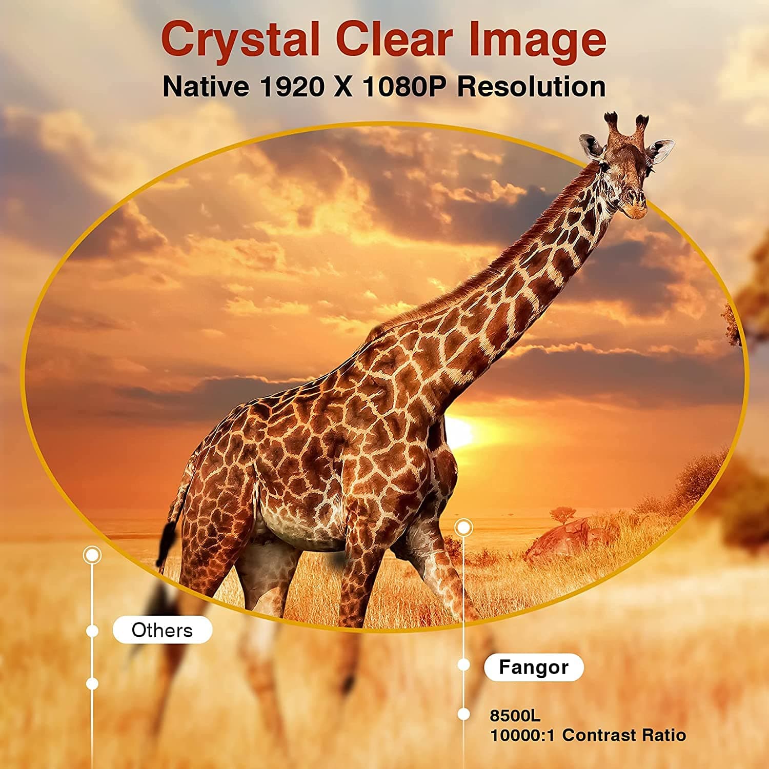 FANGOR Native 1080P WiFi Projector Bluetooth Fully Sealed Optical Design