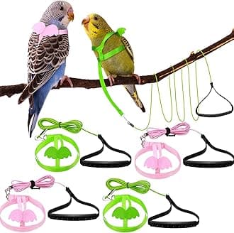 Shappy 4 Pieces Pet Parrot Bird Harness Leash Adjustable Bird Flying Harness Traction Rope with Cute Wing for Parrots Pigeons Budgerigar Lovebird Cockatiel Mynah Outdoor Training Toy (Green, Pink,XS)