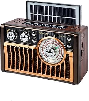 Portable AM FM Radios, Retro Radios with High-Powered Speakers, Support USB Power and Solar Panels Charging.Bluetooth TF Card (Rose Gold)