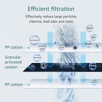 10*2.5 AP117 Water Filter