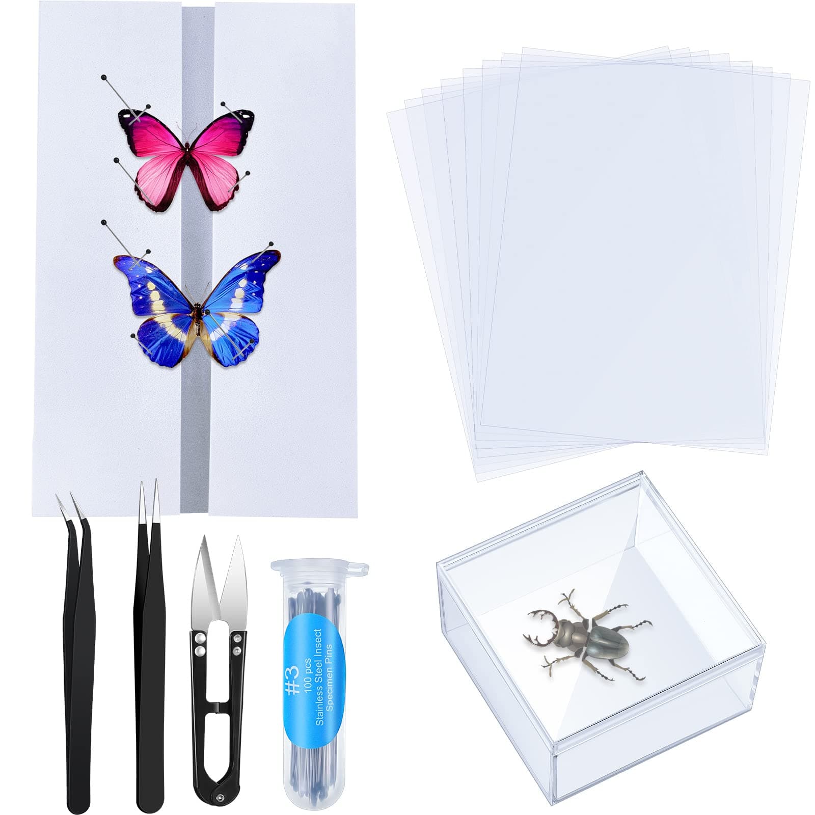 Taiyin 14 Pieces Insect Specimen Tools Kit Insect Display Case Box with Clear Top 8 Sheets Thin Tracing Paper Butterfly Mounting EVA Foam Pinning Board Pins 3 Pcs Specimen Tools for Bugs Collection