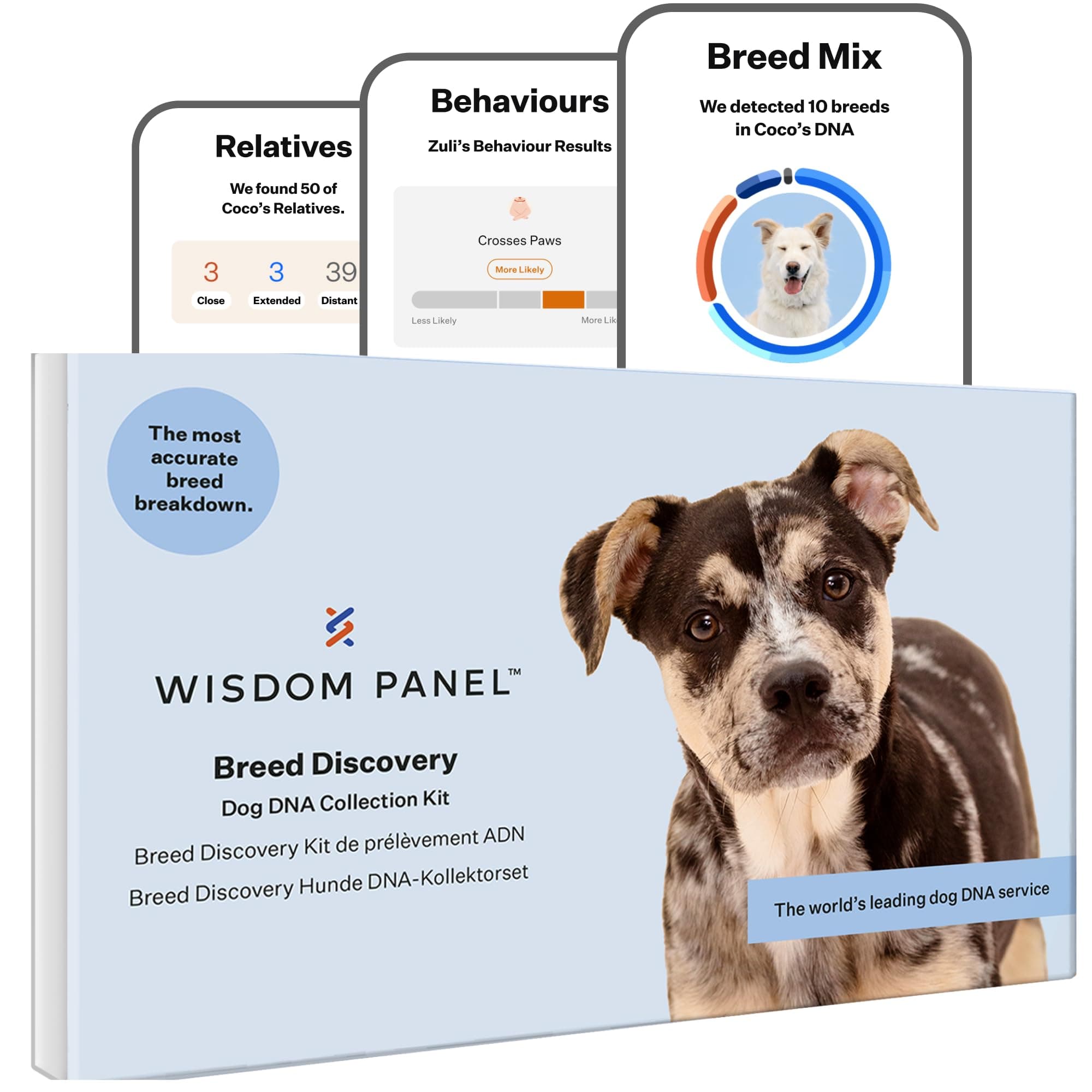 Panel Breed Discovery Dog DNA Test Kit - Most Accurate Breed ID | Behaviours | MDR1 | Ancestry | Relatives