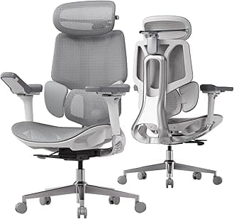 E3 Pro Ergonomic Office Chair, Big and Tall Office Chair - with 3-Zone Dynamic Lumbar Support, 4D Adjustable Headrest, 6D Adjustable Armrests, Swivel, Grey(No Footrest)