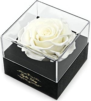 Kylin Glory Fresh Cut Flower Preserved Rose for Women Mom Wife Girlfriend - Flower Gift Real Rose Decor for Mother's Day Valentine's Day Wedding Party Celebration Birthday Anniversary (White)