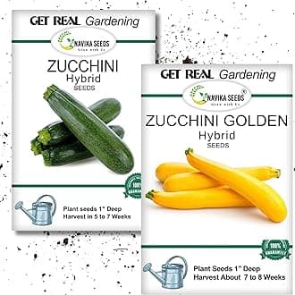 Green Zucchini 10 Seeds & Yellow Zucchini 5 Seeds|F1 Hybrid Vegetable Seeds|High Yield & Fast Growing|For Home Gardening & Kitchen Garden|Free Growing Guide Included