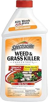 Spectracide Weed & Grass Killer Concentrate2, 32-Ounce, 6-Pack