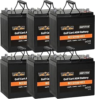 WEIZE GC2 6V Golf Cart Battery, 240ah Deep Cycle AGM Battery for Golf Cart, Scissor Lift, Scrubber Sweeper, Set of 6