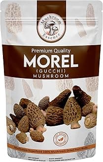 Morel Mushroom Jumbo Size Dried Wild Harvested Nature | Tail Cut Gucchi Mushroom | 50gm (Pack of 1)