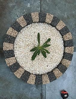 Garden Granite Circle Tree Surround Grass Border Paving Slab Stone Concrete Water Feature (CREAM/DARK GREY, 240)