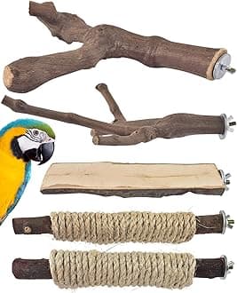 Bissap 5PCS Large Bird Perch Stand, Natural Wood Pole Standing Paw Grinding Fork Parrot Cage Branch with Rope for Macaw African Grey Amazon Pet Medium Large Birds Cage Accessories