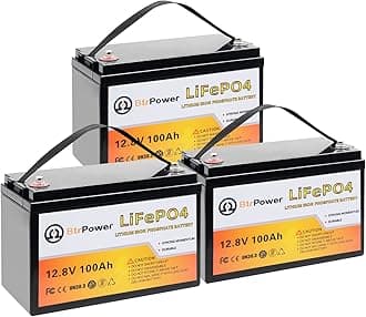 12V Lithium Battery,5000+ Deep Cycle LiFePO4 Battery with Built-in 100A BMS fit for Home Storage,Trolling Motor,RV,Off-Grid System,Solar Power System,Marine (3PACK-12V100AH)