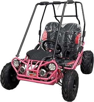 Trailmaster Mini XRX/R+ Go Kart with Reverse Top of The line. Age up to 10 Years Old Pedals and Seats Adjust (red)