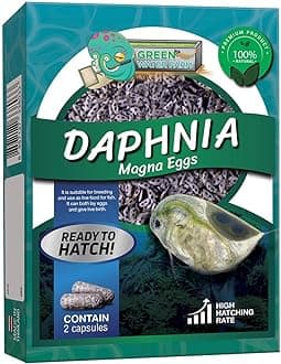 Daphnia Magna