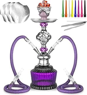 2 Hose Hookah Set 15'' Shisha With Everything Hookah Glass Vase Hollow-Carved,Coal Tong, Hookah Foil, Disposable Tips (Purple)