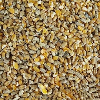 BusyBeaks Chicken Corn Extra | Premium Grade Poultry Feed | Nutritious Oyster Shell, Layers Pellets, Fibre Wheat & Split Maize | High Energy, Protein-Rich Food Mix | Perfect Year-Round Seed (20kg)