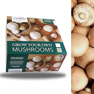 Mushroom Growing Kit - Grow Your Own Brown Button Suffolk Mushrooms - Perfect for Beginners