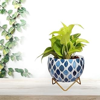 CINAGRO Metal Flower Vase Planter Pot with Iron Stand, Pots for Plants, Plant Pots for Home Decoration, Succulent Pot, Indoor Planter Garden Decor (Size: 6X6 inch) Style: Seaside Serenity