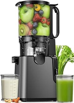 Juicer Machines with 5.8" Large Chute, 2-in-1 Cold Press Juicer for Whole Vegetables Fruits 400W, Masticating juicer Easy to Clean Juice Extractor Machine for Making Nut Mike, Juice, Premium Gray
