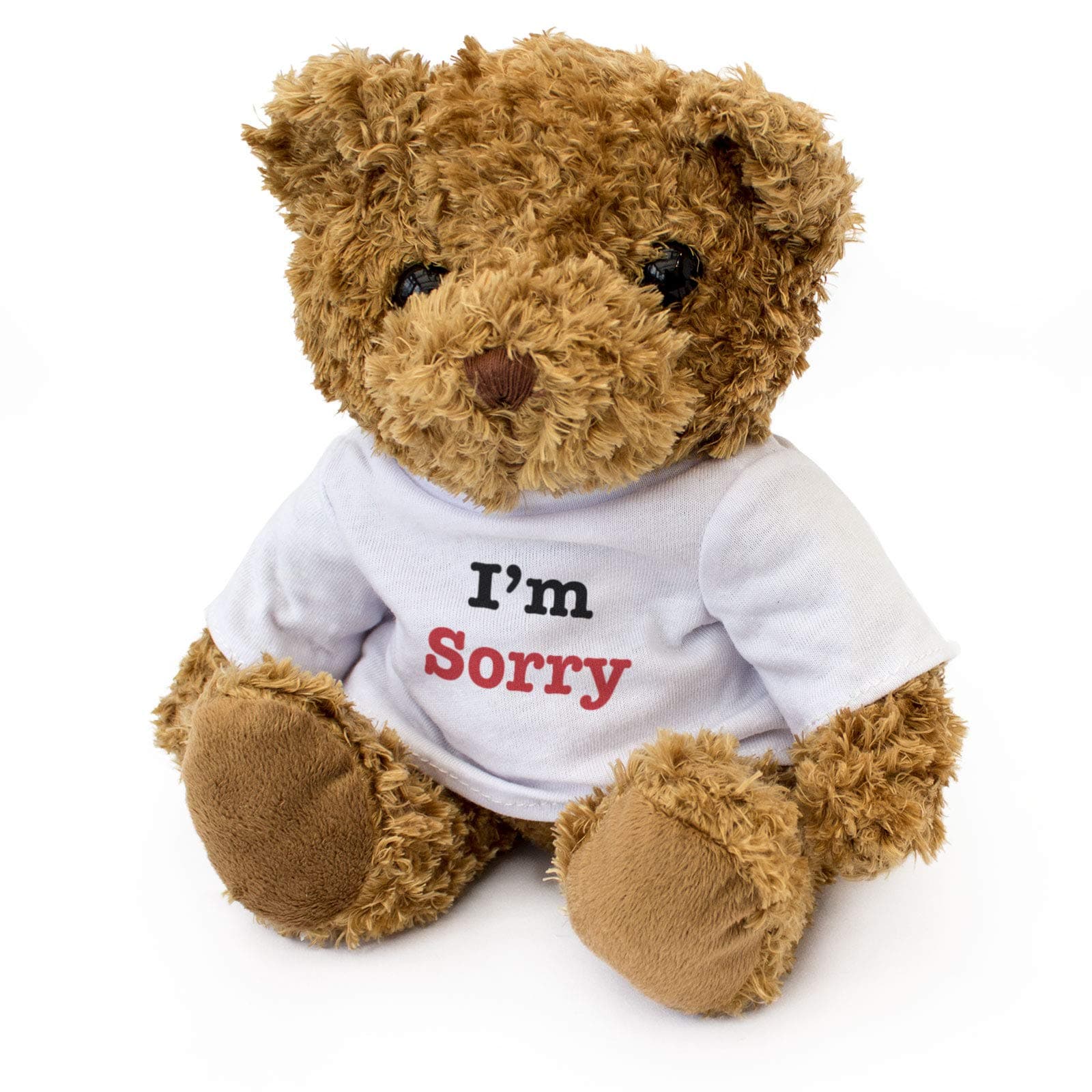 New - I AM Sorry - Teddy Bear - Cute Soft Cuddly - Sorry Gift Present