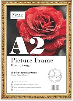 A2 Gold Ornate Picture Frame Fits A2 (42 x 594cm) (165 x 234in) Poster, Photo, Artwork, or Print Opulent Style Portrait and Landscape Display with Wall Hooks